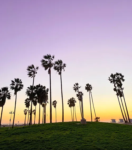 California Employment Law